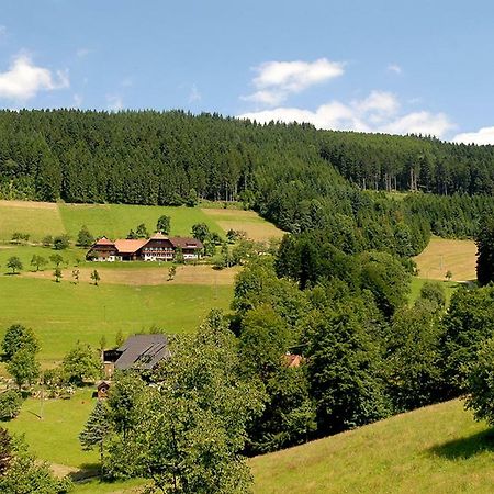 Riehle Hof Apartamento Zell am Harmersbach Exterior foto