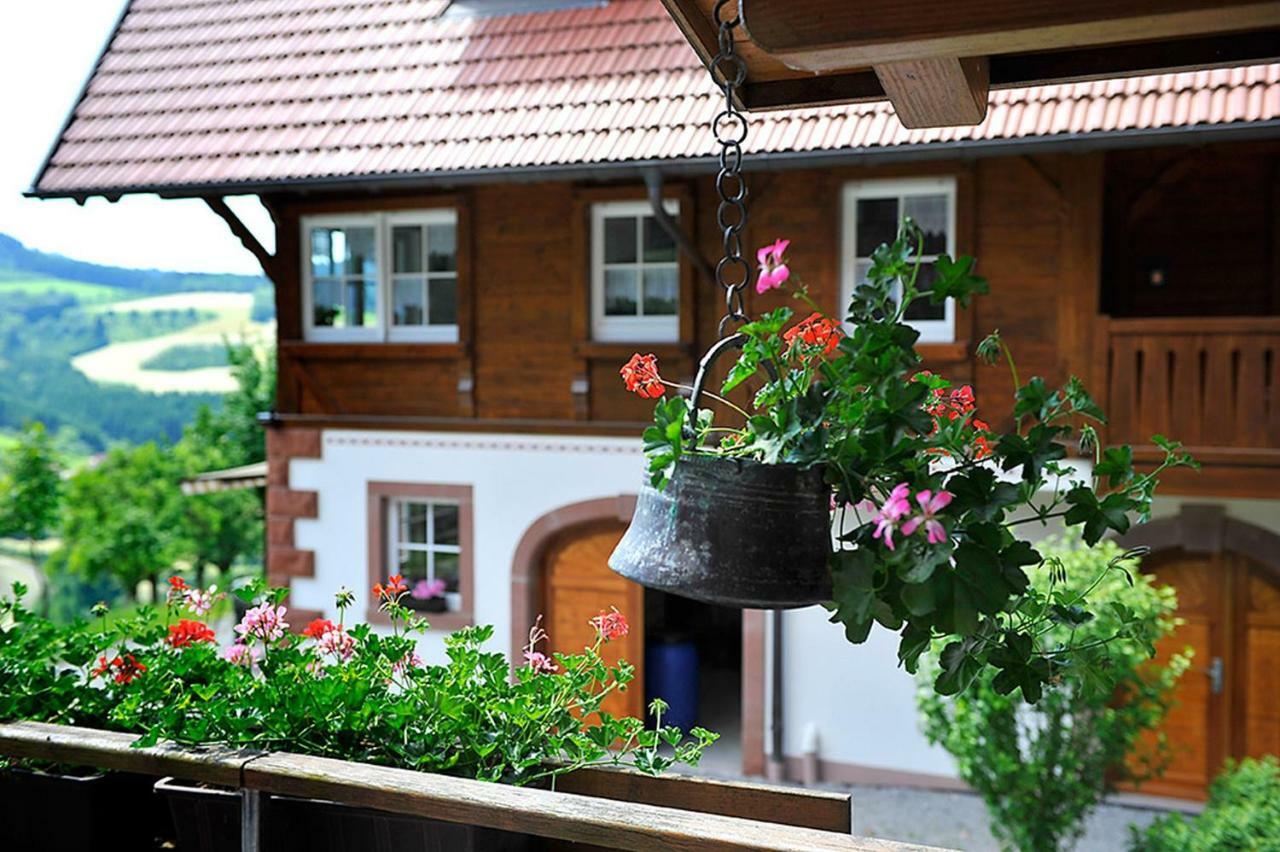 Riehle Hof Apartamento Zell am Harmersbach Exterior foto